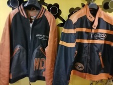 Harley davidson coppia usato  Trisobbio