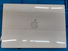 Scocca lcd apple usato  Fondi