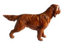 irish red setter for sale irish red setter for sale RADSTOCK