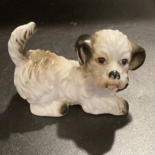 shih tzu puppies for sale shih tzu puppies for sale PAISLEY