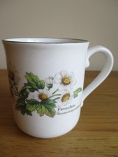 Royal worcester mug for sale  NORWICH