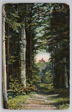 View wartburg castle for sale  Owosso