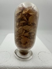 Antique apothecary inverted for sale  Burfordville