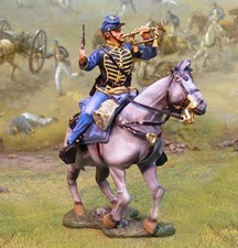 Cs00623 nordista cavallo usato  Milano