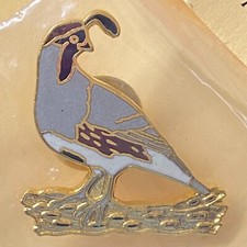 Gambel quail ground for sale  Norwalk