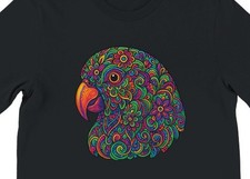 Colorful pet parrot for sale  Lexington