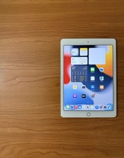 pro apple ipad wifi 32gb usato  Pineto