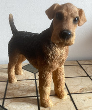 Leonardo airedale terrier for sale  FAKENHAM