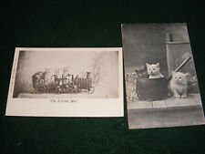 Vintage postcard kittens for sale  LIFTON