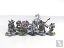 Neophyte hybrids squad for sale  WESTBURY