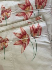 Sanderson tulips rare for sale  TIVERTON