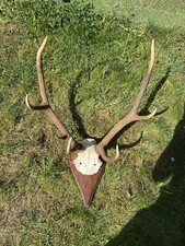 Large kg. red for sale  LONDON