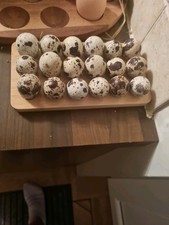 Fresh quail eggs for sale  BIRMINGHAM