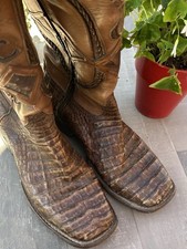 Cuadra fuscus crocodile for sale  Huntington Beach
