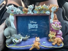 Disney pets cats for sale  Hutto
