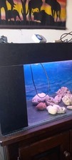 Acuario litri tutti usato  Aosta