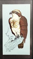 Tetley british birds for sale  BARRY