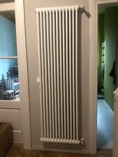 Termosifone radiatore irsap usato  Trieste