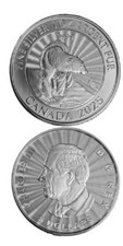 Orso polare canada usato  Roma