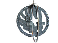 Insigne beret dragons d'occasion  Saint-Mamert-du-Gard