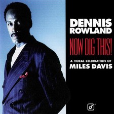 Rowland dennis now gebraucht kaufen  Mörlenbach