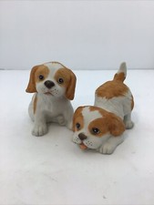 Homco spaniel dogs for sale  Morrisville