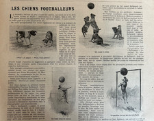 1900 chiens footballeurs d'occasion  Saint-Julien-l'Ars
