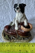 border collie puppies for sale border collie puppies for sale FRASERBURGH