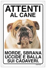 Bulldog inglese attenti usato  Vertemate con Minoprio
