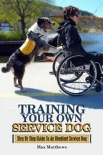 Training service dog for sale  Aurora