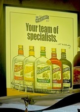Mcgillicuddy options schnapps for sale  Bovey