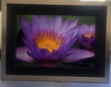 Peter lik waking for sale  Montgomery