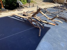 Manzanita driftwood branch for sale  Lake Elsinore