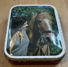 toffee pony for sale toffee pony for sale WANTAGE