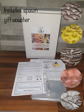 oyster twin for sale oyster twin for sale WORCESTER