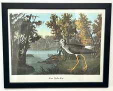 Framed print lesser for sale Framed print lesser for sale  BOSTON