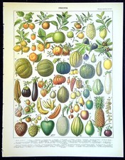 Ancienne gravure presse d'occasion  Rioz