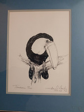 Vintage framed toucan for sale  Cleveland
