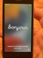 Apple iphone gris d'occasion  Villeurbanne