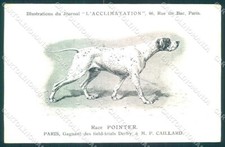 Cartolina animali dog usato  Gambolo