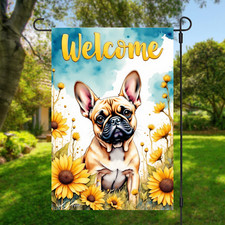 French bulldog dog for sale  Conroe