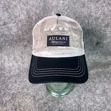 Aulani disney resort for sale  Olympia
