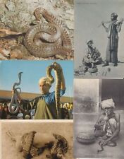 Serpenti serpenti cartoline usato  Spedire a Italy