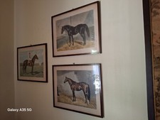 Quadri olio pittura usato  Garbagnate Milanese