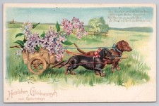 Cartão postal de aniversário alemão antigo em relevo - Dachshunds puxando carrinho de flores comprar usado  Enviando para Brazil