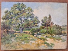 Edouard caillol. délicate d'occasion Edouard caillol. délicate d'occasion  Nice-