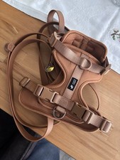 Set geschirr leine gebraucht kaufen  Pforzheim