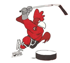 Ahl providence reds d'occasion  Expédié en Belgium