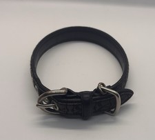 Coach dog collar for sale  Sabina