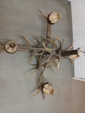 Deckenlampe geweihlampe abwurf gebraucht kaufen  Jülich